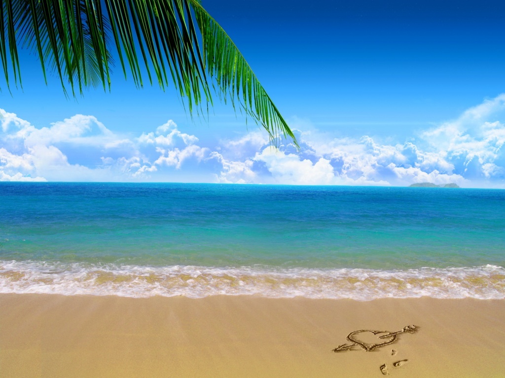 fond-ecran-3-plage-mer-ocean-palmier-vacances.jpg