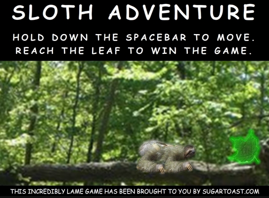 Sloth Adventure