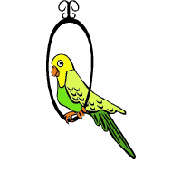 animated-parrot-image-0115