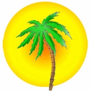 180 palmier soleil