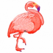 avatar-flamant-rose-oiseau-tropical-exotique
