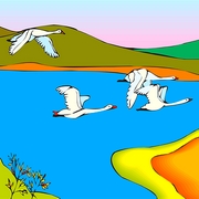cygne-oiseau-vol-nature-avatar