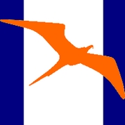 goeland-oiseau-avatar