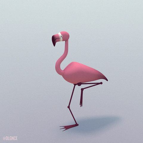 gif-anime-flamant-rose-3d-giphy