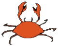 crabes_002