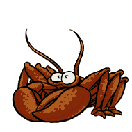 crabes_035
