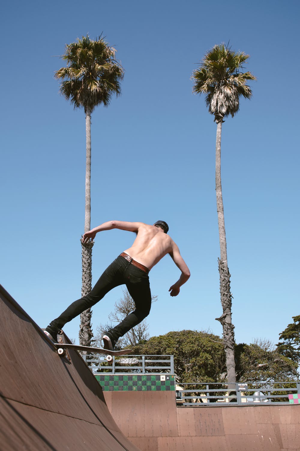 skateboard-homme
