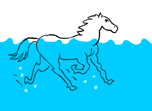 cheval qui nage