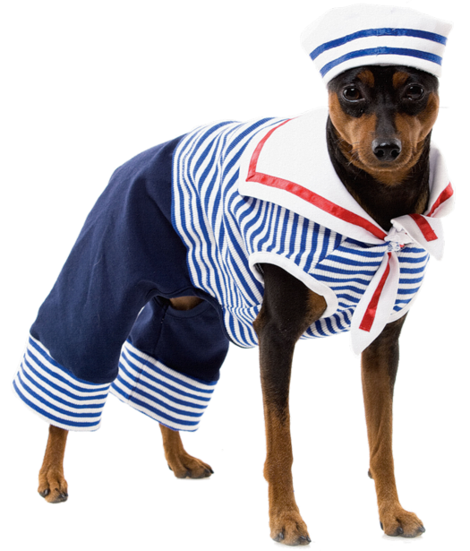 chien-habit-costume-marin-matelot