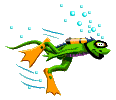 Frog_swimming_anim