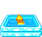 piscine cannetons2
