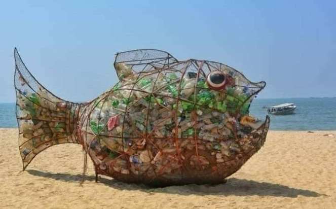 poubelle-poisson-dechets-plastique-pollution-plage-senegal